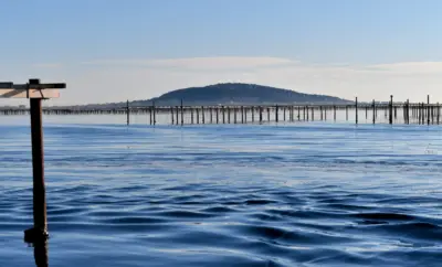 Autour de l’étang de Thau : excursions depuis Sète